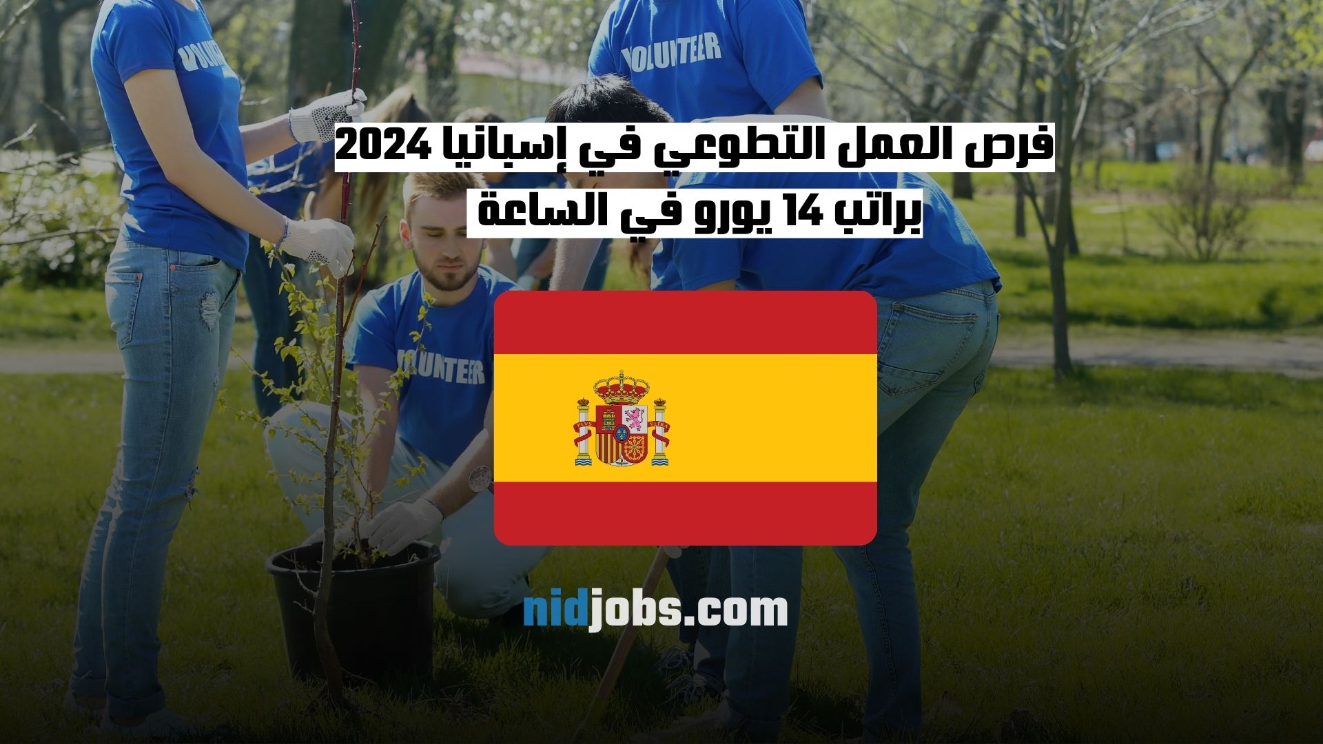 فرص العمل التطوعي في إسبانيا 2024