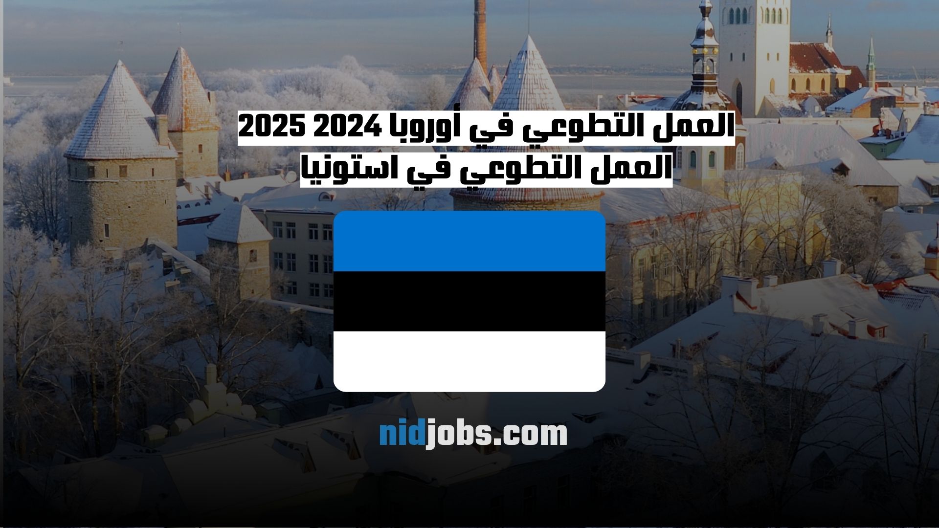 _العمل التطوعي في أوروبا 2024 2025 تاطوع في استونيا