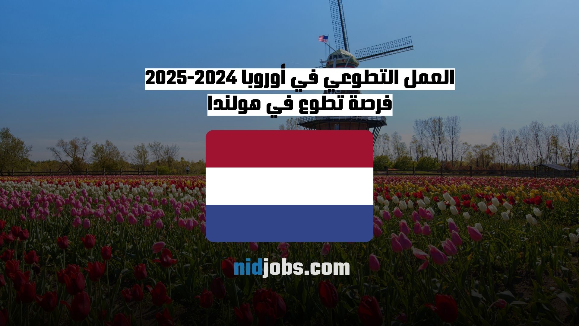 العمل التطوعي في أوروبا 2024-2025 فرصة تطوع في هولندا