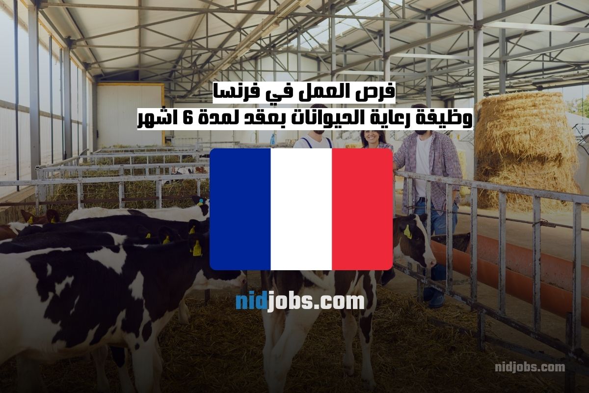 فرص العمل في فرنسا